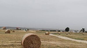 Kıbrıs Arsa Fiyatları: 2025 Yatırım Rehberi Kıbrıs Arsa Fiyatları: 2025 Yatırım Rehberi